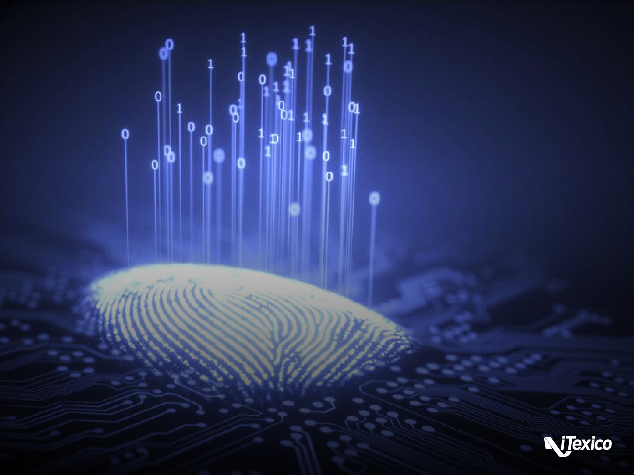 Understanding Blockchain and C#. Develop Your Application.